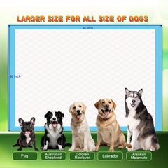 30*36Inch Disposable Dog Training Pads