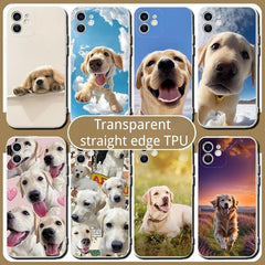 [Customized by sending pictures] Transparent mobile phone case with anti-drop function, suitable for iPhone 16 Pro Max, 16, 15 Pro, 14 Plus, 13, 12 Pro, 11 Pro Max, X and XS Max. Made of TPU material, it is wear-resistant, lightweight and portable, stylis