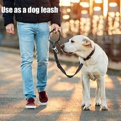 Pet Car Mount 2-in-1 Leash Safety Belt
