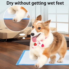 100It's super big23.62"x 23.62"Super Absorbent Dog Pee Pads - Leak-Proof，Deodorant，Easy to Clean XL Disposable Pet Pads，Suitable for Dogs，Very suitable for training，Puppy training and pet accidents Super Soft，Super Absorbent，Pads