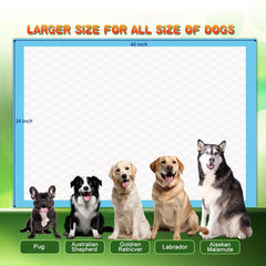 NEZO Advanced Training Mat for Dogs，Extra large size 34 X 46 Inch - 90 A Changing Pad，Belt 6 Layer Leak-Proof and Super Absorbent