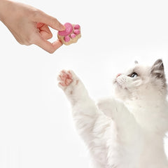 Cats Love Raw Meat Biscuits And Care For Pet Health