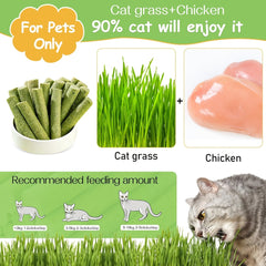 100g Cat Grass Teething Stick For Cat, Natural Dried Cat Grass Treats Snacks For Cats, Edible Cat Chew Toys For Teeth Cleaning And Hairball Removal