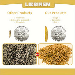 Dry black fly larvae100%Non-Transgene，Contains more comprehensive nutrition，Suitable for dogs、Cat、Duck、Frog、Tortoise、Fish、For consumption by birds and other animals