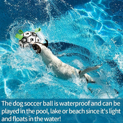 Interactive Dog Football with Strap - Durable Rubber Pull Toy for All Breeds，Perfect for retrieving balls and playing，Perfect gift for puppies and dogs of all sizes - Black、White and green design，BS NOW
