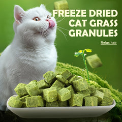 Cat Grass Freeze-Dried Cat Grass Granules Hairball Remedy Cat Snacks Mint Biscuits Cat Grass Tablets Teeth Grinding Cat Grass Sticks