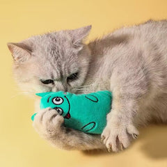 1pc Random Color Plush Cat Toy - Interactive Teeth Cleaning & Self-Entertaining Pet Toy for Small Breeds, No Battery Needed, Durable Soft Material for Indoor Play & Dental Hygiene, Cat Chew Toy, Playful Design, Petsafe Fabric, Playful Pets