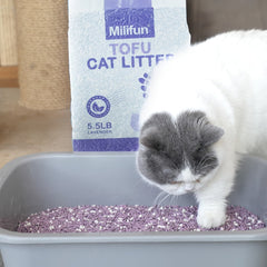 5.5 lb Lavender Scented Tofu Cat Litter - Dust-Free, Fast-Drying & Ultra-Absorbent Clumping Pellets for Odor Control, Less Scattering, High-Quality & Cat Litter