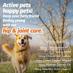 PAWSITIVE NUTRITION Advanced Hip Joint Supplement for All Dog Breeds，Glucosamine and Chondroitin Joint and Muscle Health，MSM，Alaska Salmon Oil - Mobility and flexibility - Joint Care，Chicken Flavor，90 Piece