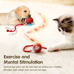 Cat Interactive Ball Toy，Automatic Rolling Ball with Tail，Rechargeable Smart Pet Interactive Toy，Smart Cat Ball