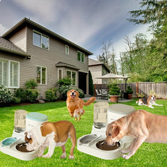 Automatic Dog Feeder and Water Dispenser Set，Comes with a stainless steel bowl——Large Capacity，Dry wet separation，Suitable for small and medium-sized dogs，No Battery Required