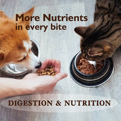 1.7-15 Ounce，Freeze-dried Raw Chicken Dog and Cat Food Top，Protein-Rich Meal Blender for All Breeds，Light beige color and healthy fur、Digestive Support、Snacks and Training Rewards
