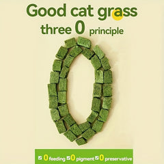150Gram/5.29Ounce Frozen Cat Grass Pellets Hairball Tablets：Mint Cake Cat Snacks Cat Grass Tablets Teeth Grinding Cat Grass Sticks