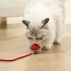 Interactive Cat Toy, Chirp And Motion Activated Cat Rolling Toy, Used for Indoor Cat Red LED Light Ball Rolling Quickly, Can Be Used On The Carpet.