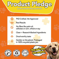 PAWSITIVE NUTRITION Advanced Hip Joint Supplement for All Dog Breeds，Glucosamine and Chondroitin Joint and Muscle Health，MSM，Alaska Salmon Oil - Mobility and flexibility - Joint Care，Chicken Flavor，90 Piece