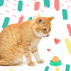 [Lickable Cat Treat] 12pcs Lickable Cat Treat Balls - Consumable Pet Herb Snacks for Play & Health, Easy-to-Use Sugar Balls for Cats, Promotes Hydration & Tongue Strengthening, Green Base with Yellow Top
