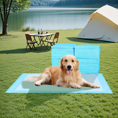 100/50/40/20Extra Large Dog Training Mat，Super Absorbent Leak-Proof Disposable Pet Pads，Suitable for small dogs、Canine species、Small Dog、Cat and Rabbit，the Size Is36*30/28*34/30*30/28*44/24*24/22*22/18*24/24*35