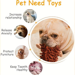 Magical Pets 6 Pack of Dog Squeaky Toys，Unstuffed stuffed Dog Chew Toy，Suitable for Small, Medium, and Large Chewers Squeaky Pet Supplies Durable Chew Toys for Puppies Interactive Teething Keeps Them Busy Best Birthday Gift