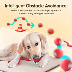 Cat Interactive Ball Toy，Automatic Rolling Ball with Tail，Rechargeable Smart Pet Interactive Toy，Smart Cat Ball
